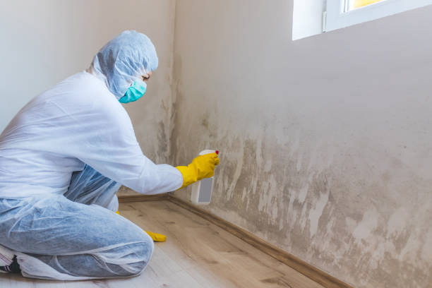 Licensed Bathroom Mold Removal service in Munson, PA - WQB Mold Removal