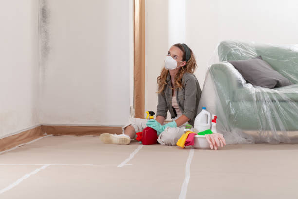 Reliable Bathroom Mold Removal contractor in Munson, PA by WQB Mold Removal
